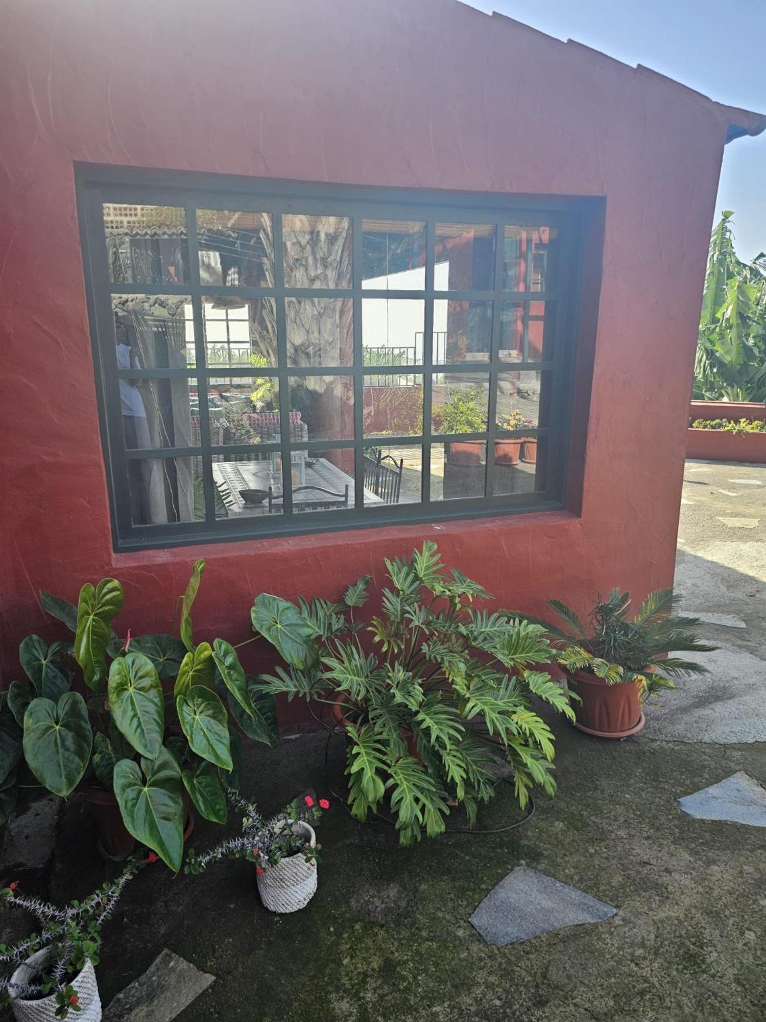Casa Rural El Pinito Con Piscina Privada El Paso Exterior foto